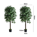 Artificial Ficus Tree 150cm Two Pack Lifelike Potted Indoor Plant Décor