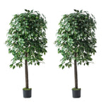 2x Artificial Palm Trees Potted Plants 180cm Indoor Home Decor Green