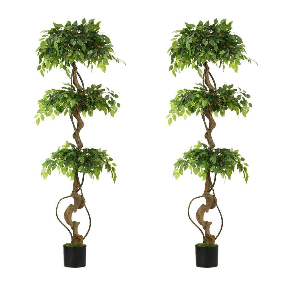 Artificial Ficus Tree 2 Pack 180cm Twisted Faux Potted Plant Indoor Décor