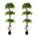 Artificial Ficus Tree 2 Pack 180cm Twisted Faux Potted Plant Indoor Décor