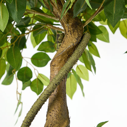 Artificial Ficus Tree 2 Pack 180cm Twisted Faux Potted Plant Indoor Décor