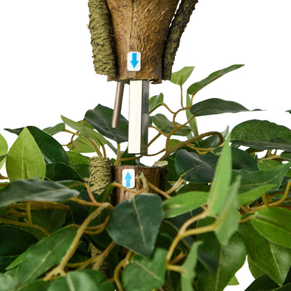 Artificial Ficus Tree 2 Pack 180cm Twisted Faux Potted Plant Indoor Décor