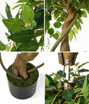Artificial Ficus Tree 2 Pack 180cm Twisted Faux Potted Plant Indoor Décor