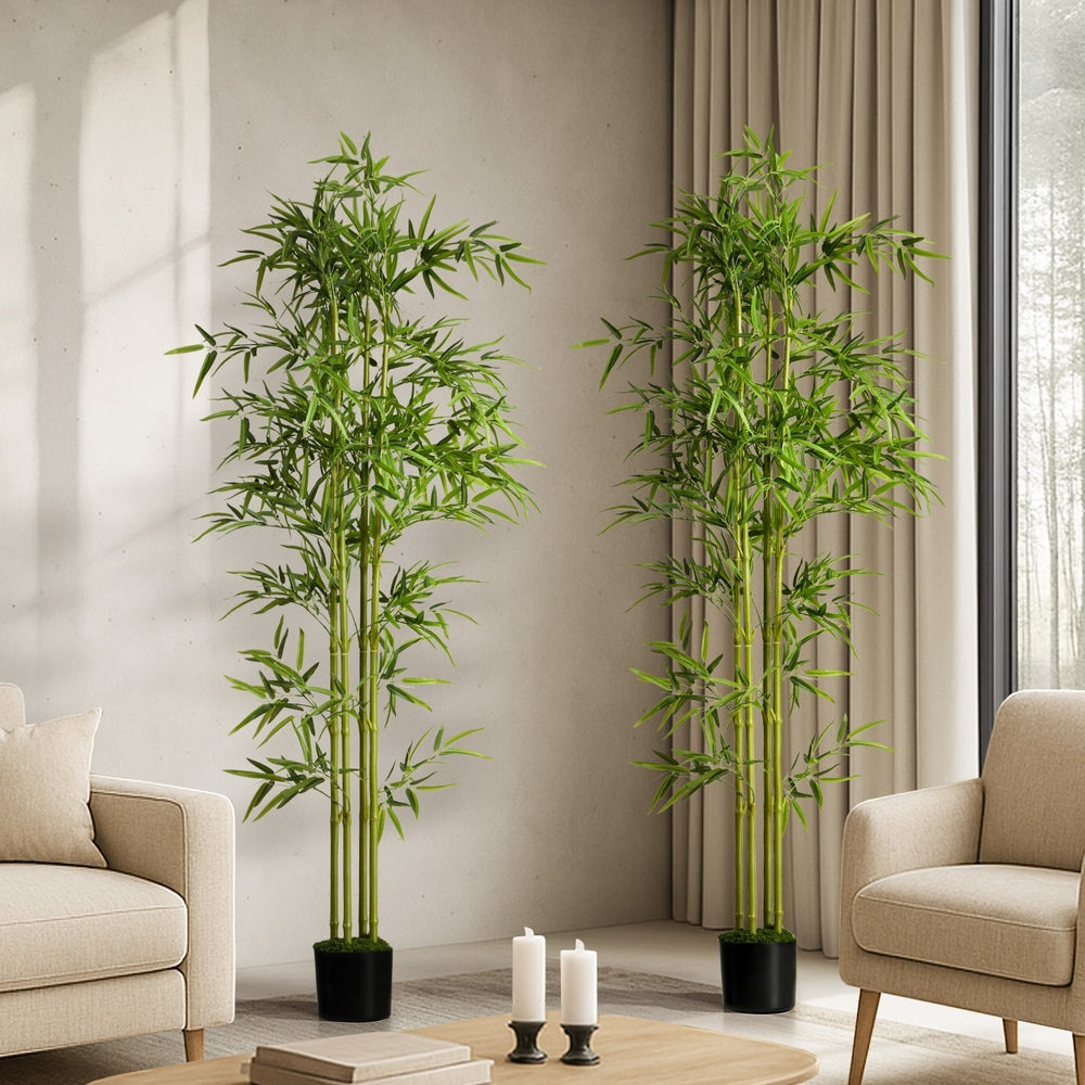 2x Bamboo Tree 150cm Potted  Plants - 4