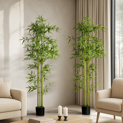 2x Bamboo Tree 150cm Potted  Plants - 4