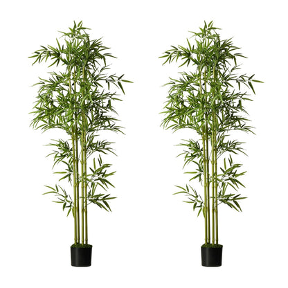 2x Bamboo Tree 150cm Potted  Plants - 9