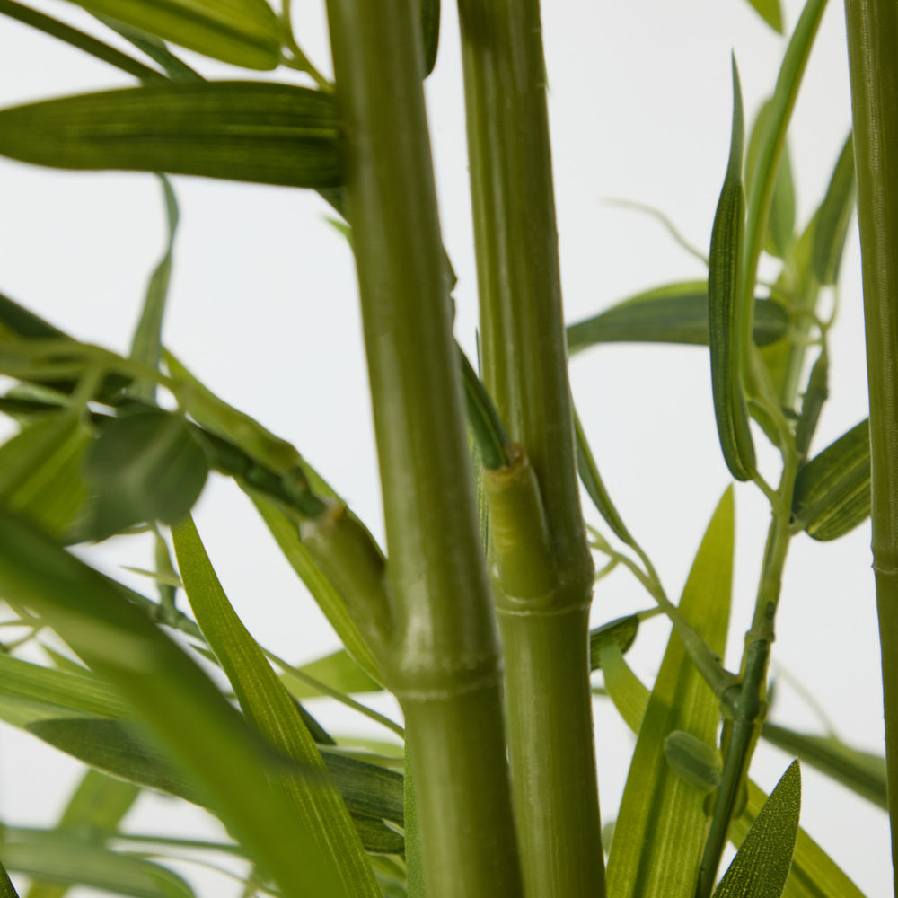 2x Bamboo Tree 150cm Potted  Plants - 5