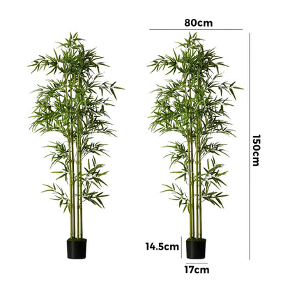 2x Bamboo Tree 150cm Potted  Plants - 3
