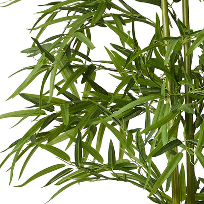 2x Bamboo Tree 150cm Potted  Plants - 7