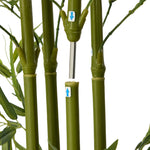 2x Bamboo Tree 150cm Potted  Plants