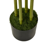 2x Bamboo Tree 150cm Potted  Plants