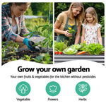 Garden Bed 240X80X56Cm Oval Planter Box