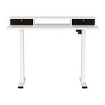 Electric Standing Desk With Storage Shelf Drawer Office Table 120Cm