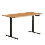 Standing Desk Sit Stand Motorised Electric Computer Laptop Table 120cm Dual Motor