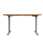 Standing Desk Motorised Electric Height Adjustable Laptop Computer Table 120cm Dual Motor