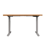 Standing Desk Sit Stand Table Riser Wooden Computer Laptop Desks Motorised Dual Motors 140cm