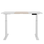 Standing Desk Motorised Electric Dual Motor 120CM/140CM
