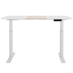 Standing Desk Motorised Electric Dual Motor 120CM/140CM