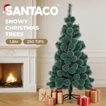 Elegant 1.8M 250 Tips Christmas Tree Full Pine Needle  Soft Cushion