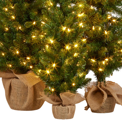 Set of 3 Pre Lit Green Pine Christmas Trees