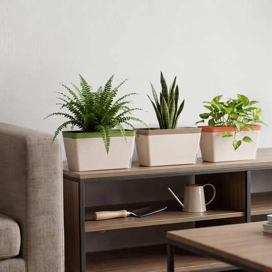 Self Watering Plant Pots 3 Pack Indoor | HomeAndLiving