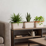 Self Watering Plant Pots 3 Pack Indoor | HomeAndLiving