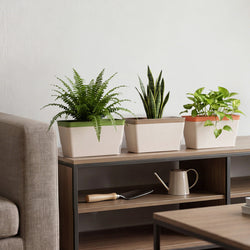 Self Watering Plant Pots 3 Pack Indoor | HomeAndLiving