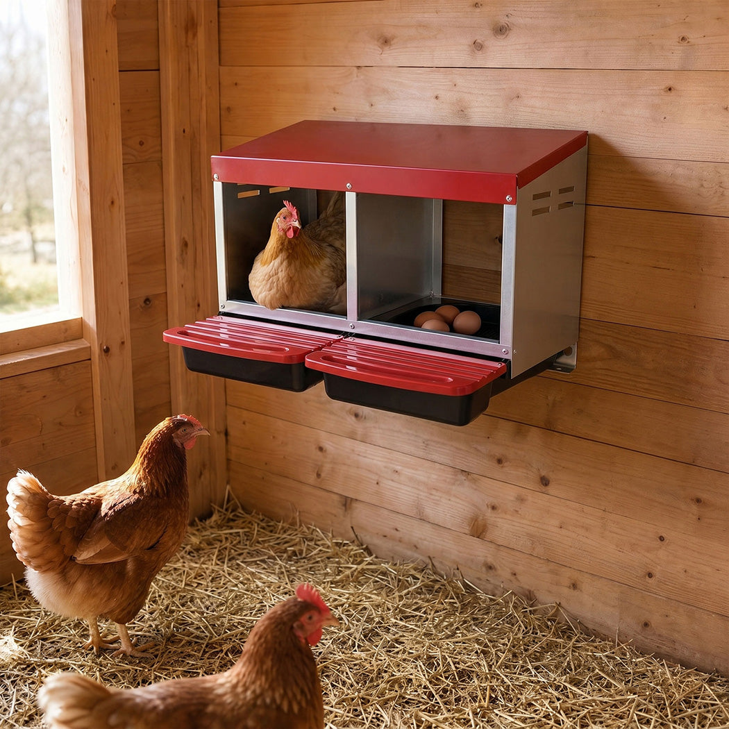 Pawz Chicken Nesting Boxes 2 Hole for Rolling Egg Collectio Inside Outside