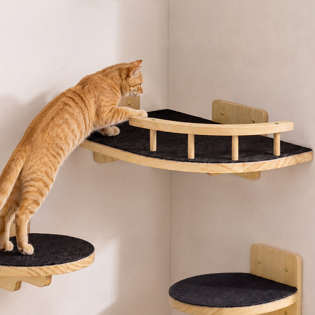 Cat Wall Shelf Corner Tree 22.5x19.3x1.8cm