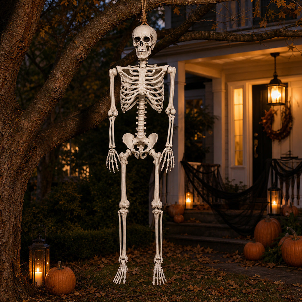Life Size Skeleton Decoration 169x36x11cm