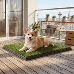 Dog Potty Tray Washable Grass Mat Training | HomeAndLiving