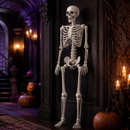 Life Size Skeleton Decoration White 165x36x11cm