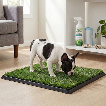 Dog Potty Tray Washable Grass Mat Training | HomeAndLiving