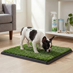 Dog Potty Tray Washable Grass Mat Training | HomeAndLiving
