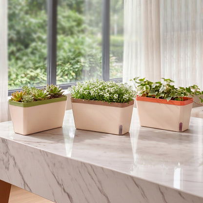 Self Watering Plant Pots 3 Pack Indoor | HomeAndLiving - 8