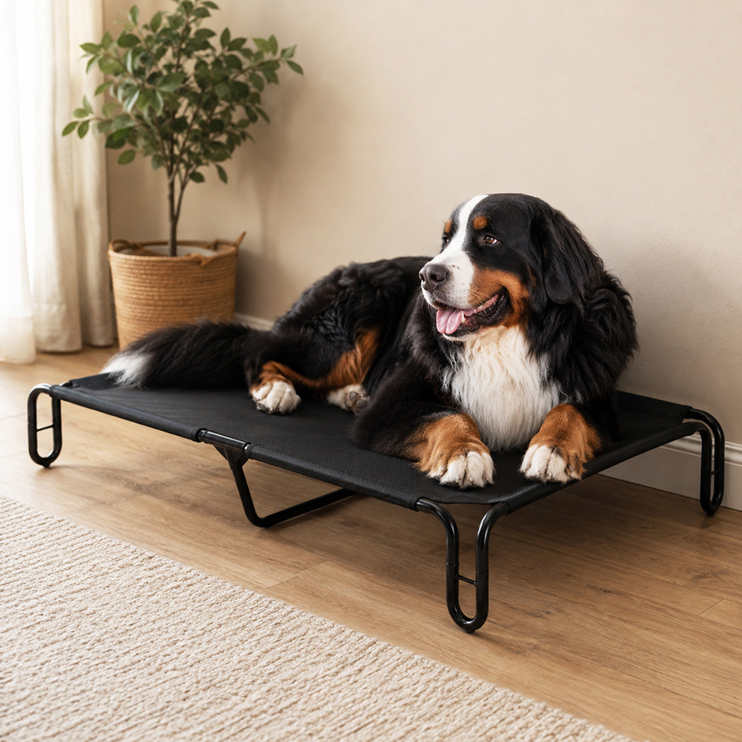 Elevated Dog Bed Breathable Mesh 120x82x20cm