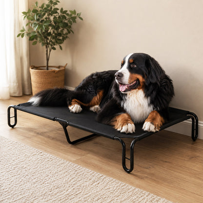 Elevated Dog Bed Breathable Mesh 120x82x20cm