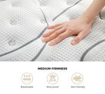 Queen Mattress Bonnell Spring Tight Top 21CM
