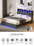 Double/King/Queen Bed Frame With LED Storage Headboard And USB Charging Ports
