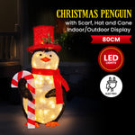 Christmas Penguin Display with Lights Indoor/Outdoor 80cm