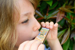 Buzzy days bee harmonica