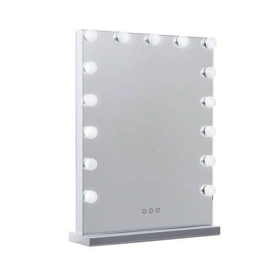Makeup Mirror 43x61cm Hollywood Vanity with LED Light Tabletop Wall