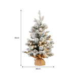 61cm Snowy Dorchester Tabletop Christmas Tree