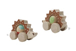 Eco play push a long spinning hedgehog