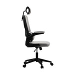 Mesh Office Chair Adjustable Lumbar Support D-Shape BK&GY