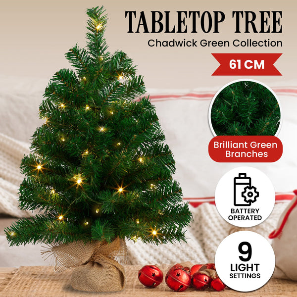  61cm Chadwick Green Pre-Lit Tabletop Christmas Tree