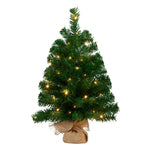 61cm Chadwick Green Pre-Lit Tabletop Christmas Tree