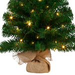 61cm Chadwick Green Pre-Lit Tabletop Christmas Tree