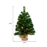 61cm Chadwick Green Pre-Lit Tabletop Christmas Tree