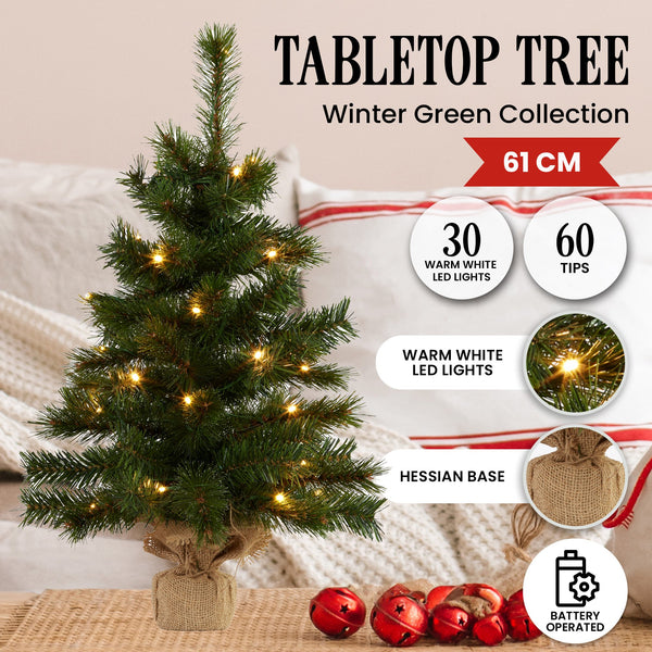  61cm Wintergreen Tabletop Pre-Lit Christmas Tree